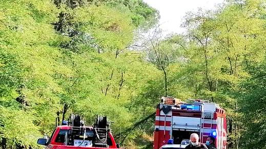 Incendi nelle pinete Cittadino chiede aiuto all’assessore Priolo