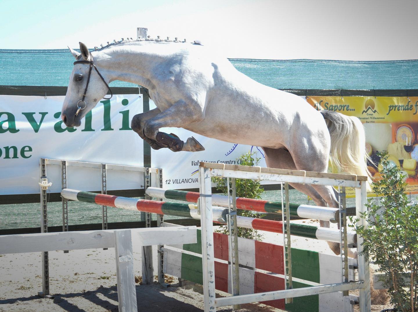 Villanova capitale del salto a ostacoli 