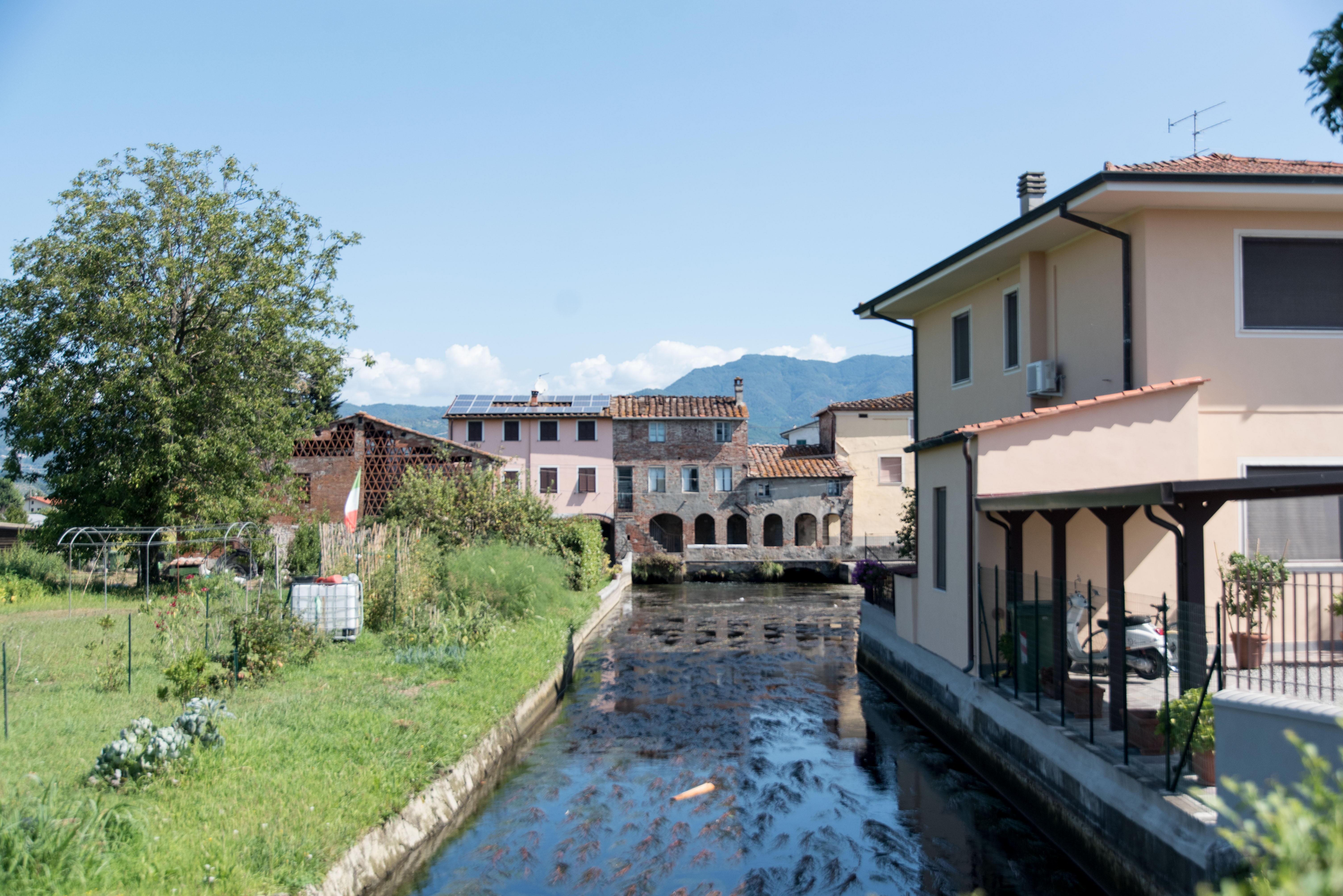 Il condotto pubblico fuori dalle Mura invaso dalle alghe e da altri rifiuti