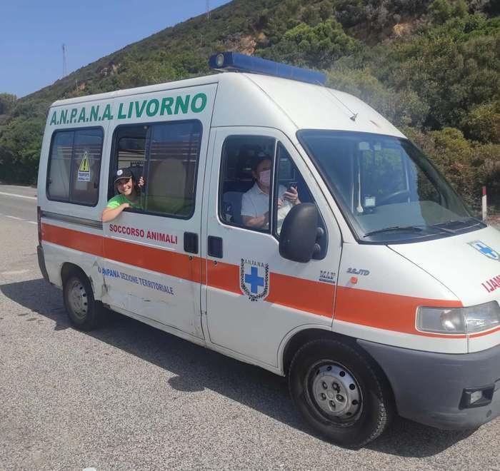 In campo anche i volontari: «Le evitiamo con il dialogo» 