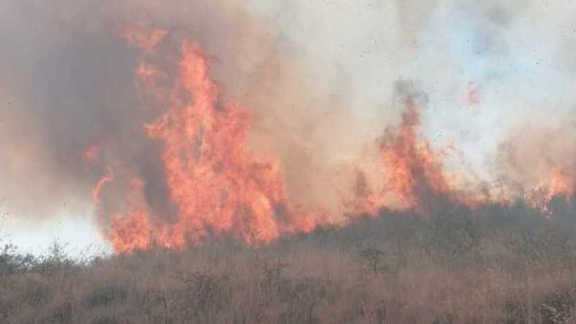 Fiamme sull’Aquilaia Vigili del fuoco in azione insieme ai volontari