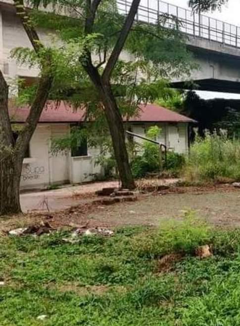 «Ma cosa è successo?» Operatore turistico deluso dallo stato della golena 