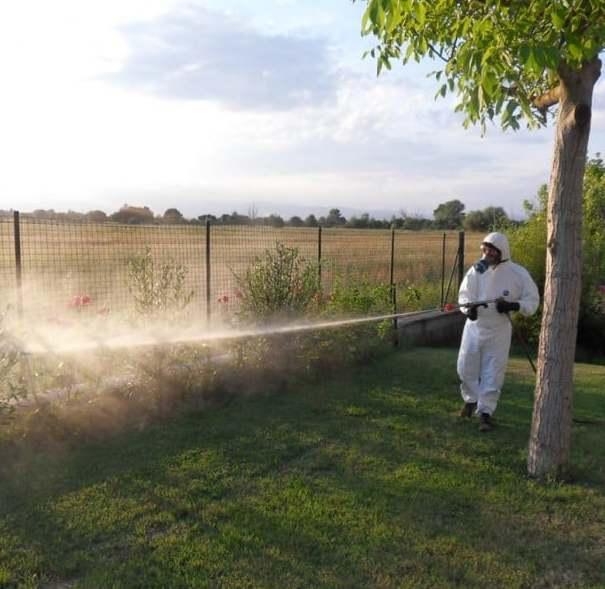 Torna la West Nile: un 75enne ricoverato 