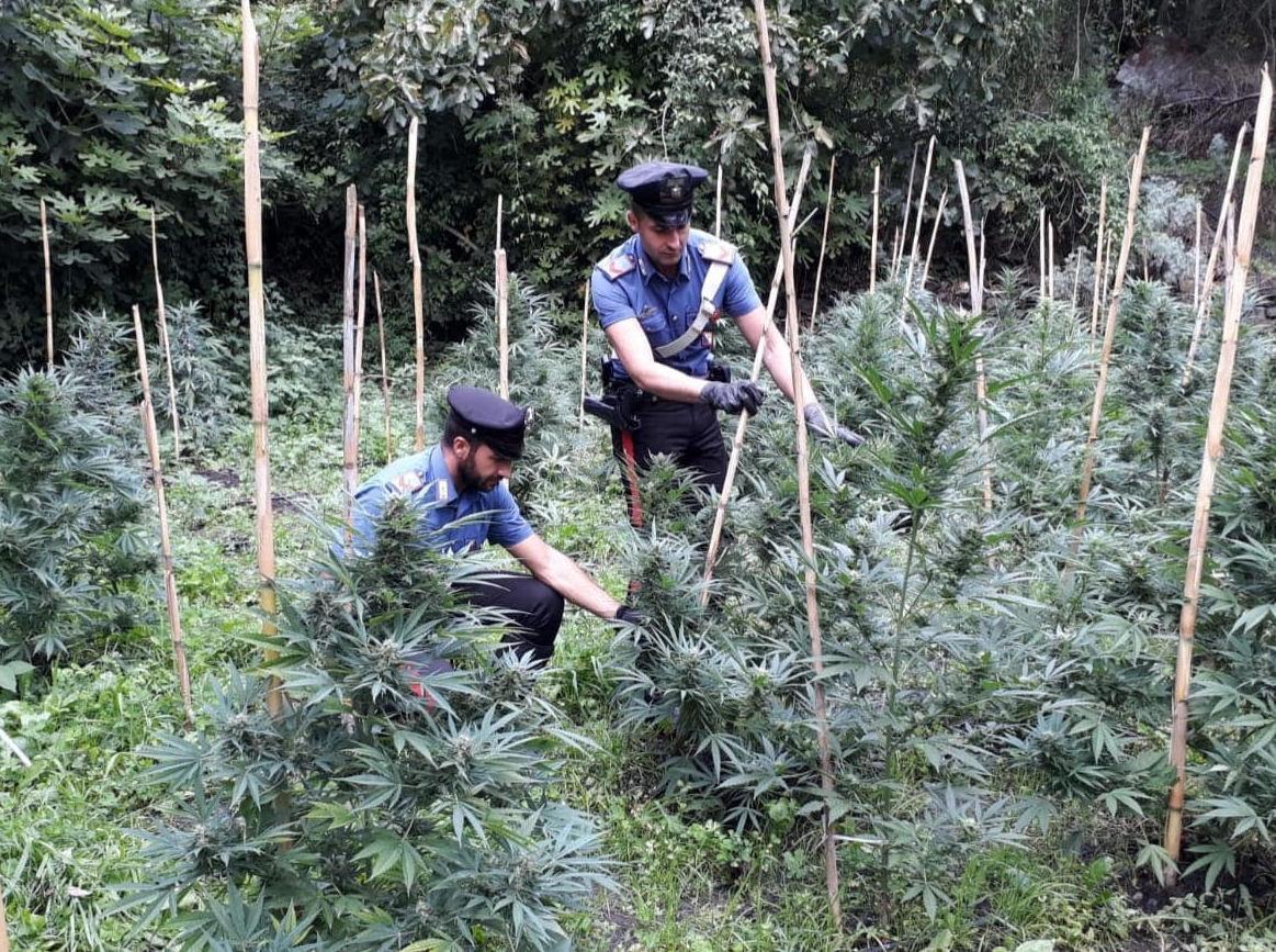 Sequestro di droga, i due pastori restano in cella 