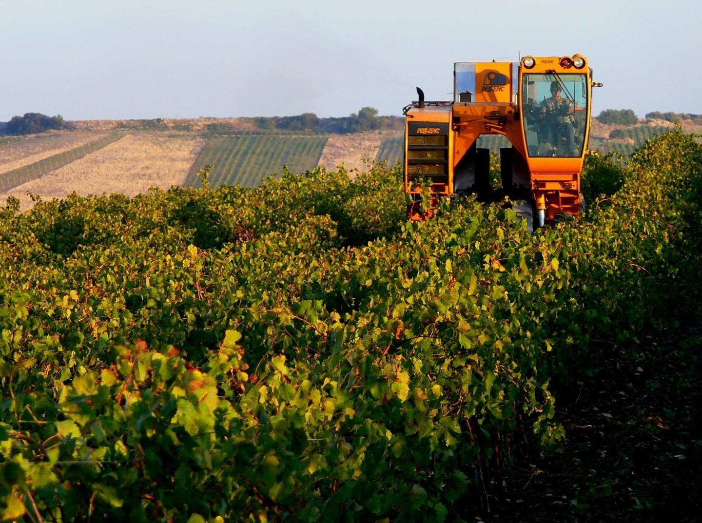 Agricoltura, troppi vuoti in assessorato 