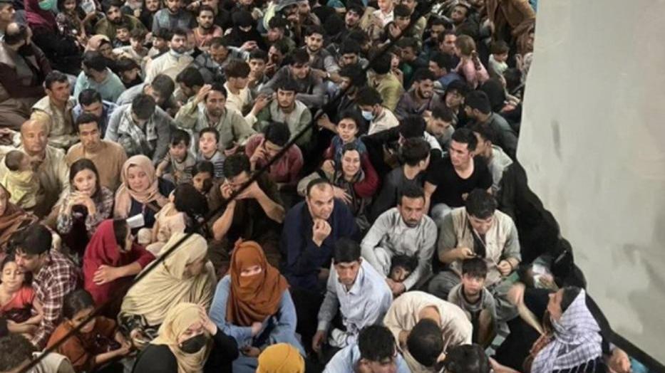 Ferrara pronta ad accogliere i profughi afghani, disponibilità nei Cas