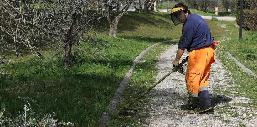 La nuova coop SintesiMinerva cerca personale 