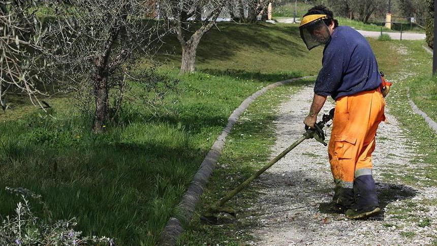 La nuova coop SintesiMinerva cerca personale