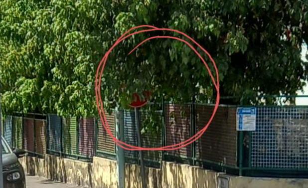 Il cartello c’è ma è quasi invisibile Rischio incidenti in via Valla