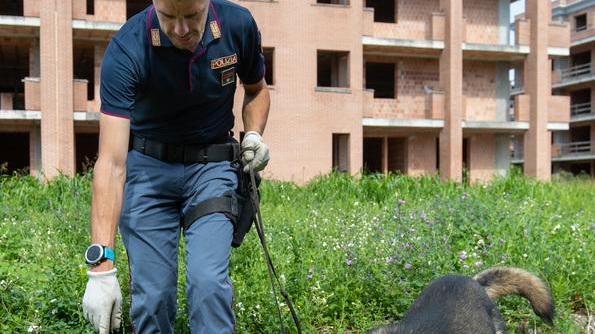 Nella casa droga e munizioni Arrestato uomo di 35 anni