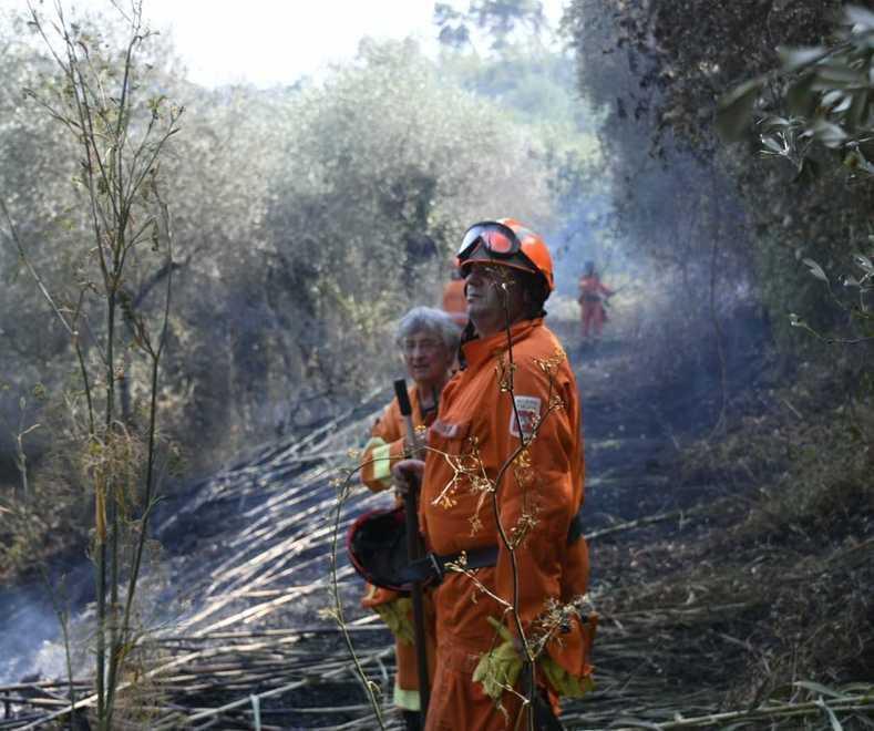Fuoco nei boschi, paura per le case