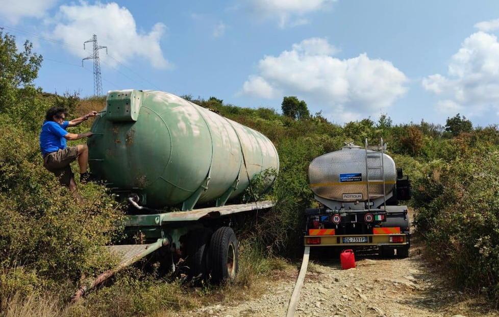 Gli animali hanno sete, arriva l’acqua in Calvana