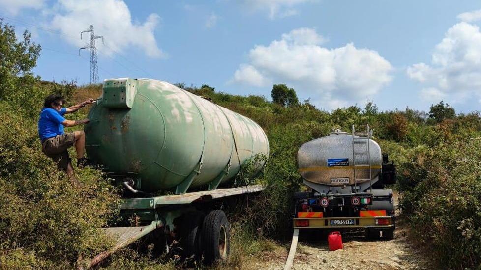 Gli animali hanno sete, arriva l’acqua in Calvana