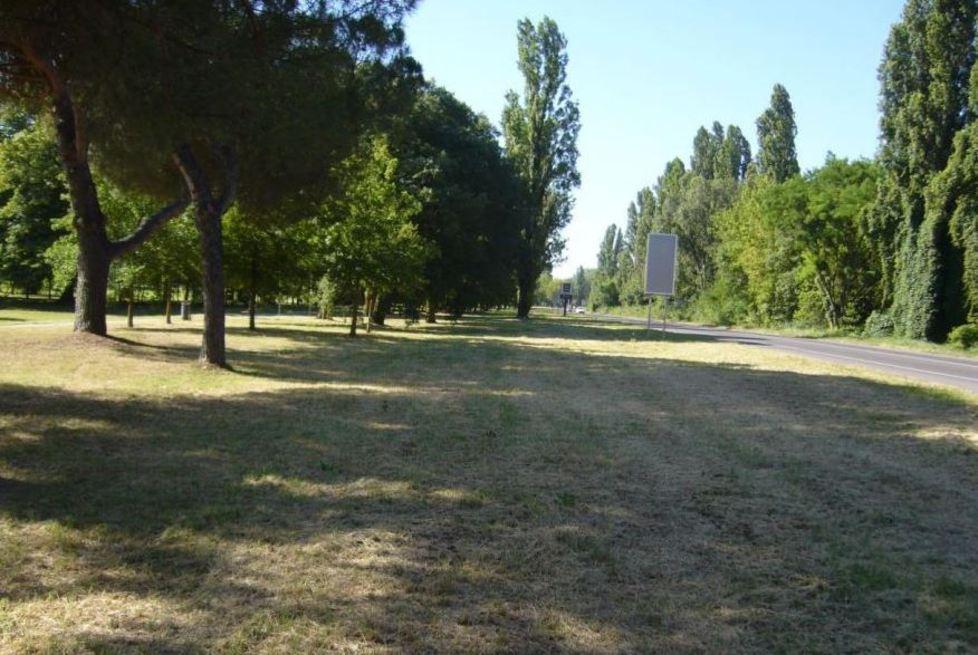 Bosco in via Pannonius e siepe in via Padova Progetti da 79mila euro 