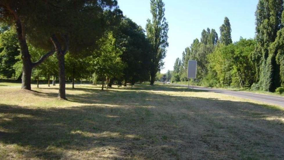 Bosco in via Pannonius e siepe in via Padova Progetti da 79mila euro
