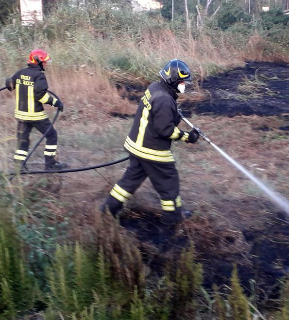 Avviata la caccia ai piromani per i roghi in serie di sterpaglie 