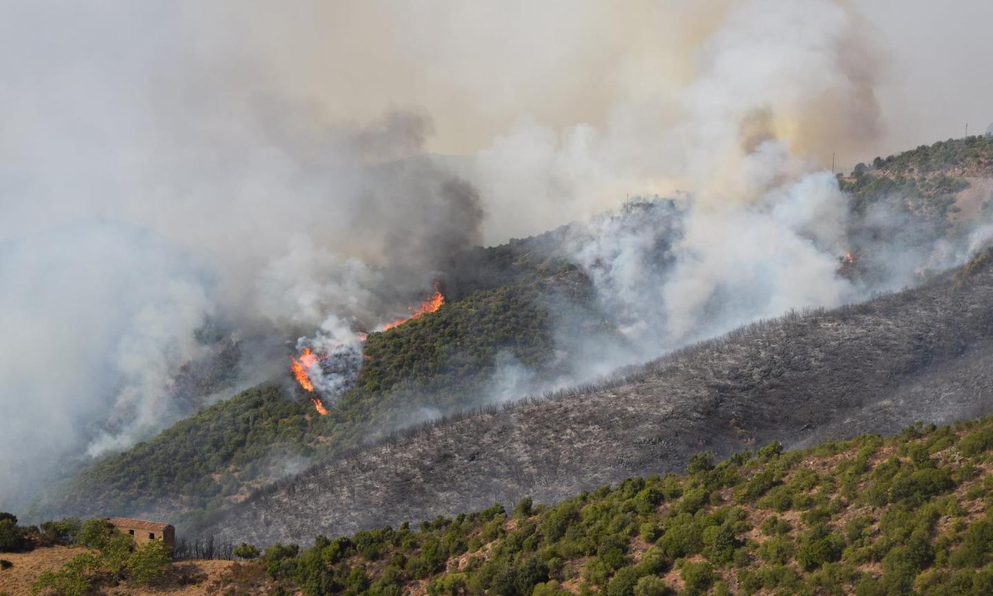 Fiamme nel bosco a Genna Ventosa 
