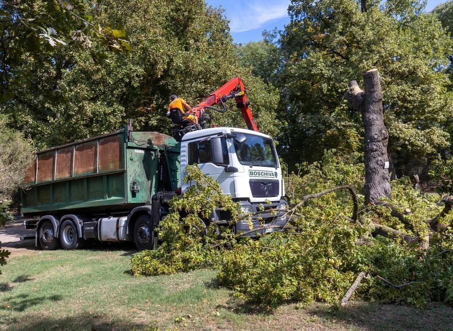 Buskers, cinque alberi tagliati per la sicurezza del Parco Massari 