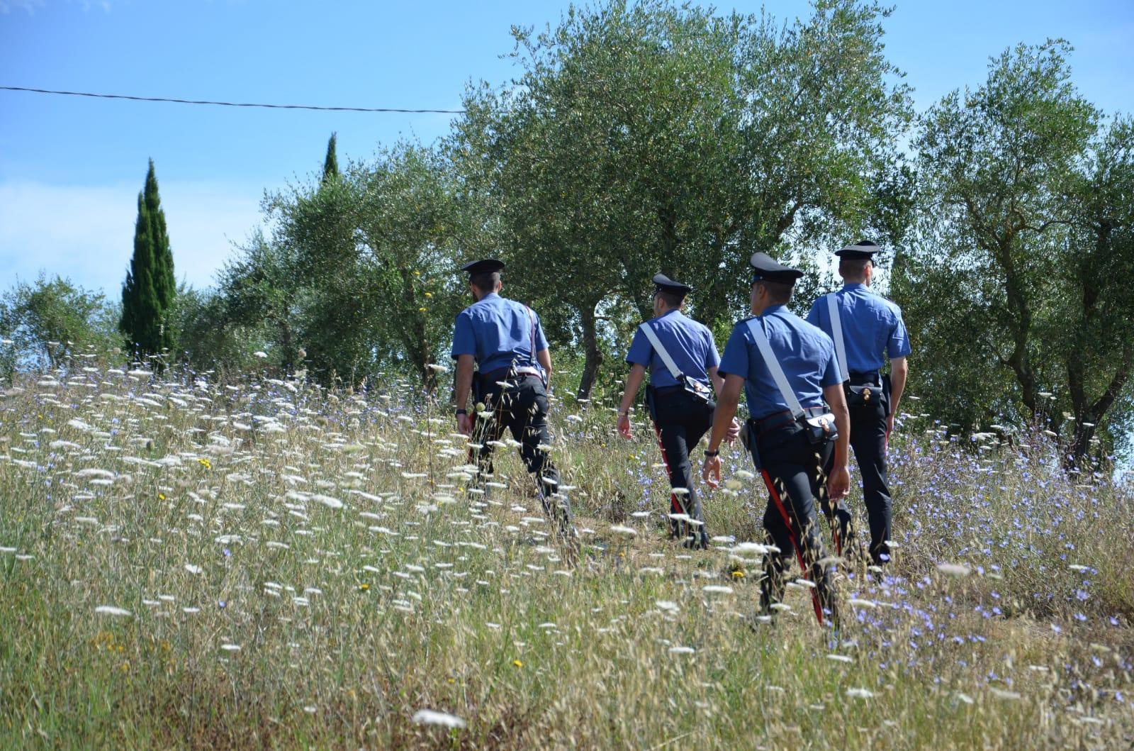 Senorbì, rotoballe rubate e piantine di marijuana: nei guai agricoltore 25enne