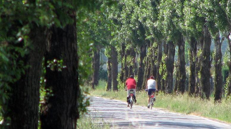 «Turismo in bicicletta: Reggio è indietro perché mancano piste adeguate»