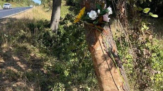 Dopo l’appello, il testimone «Ho provato a salvare Sara»