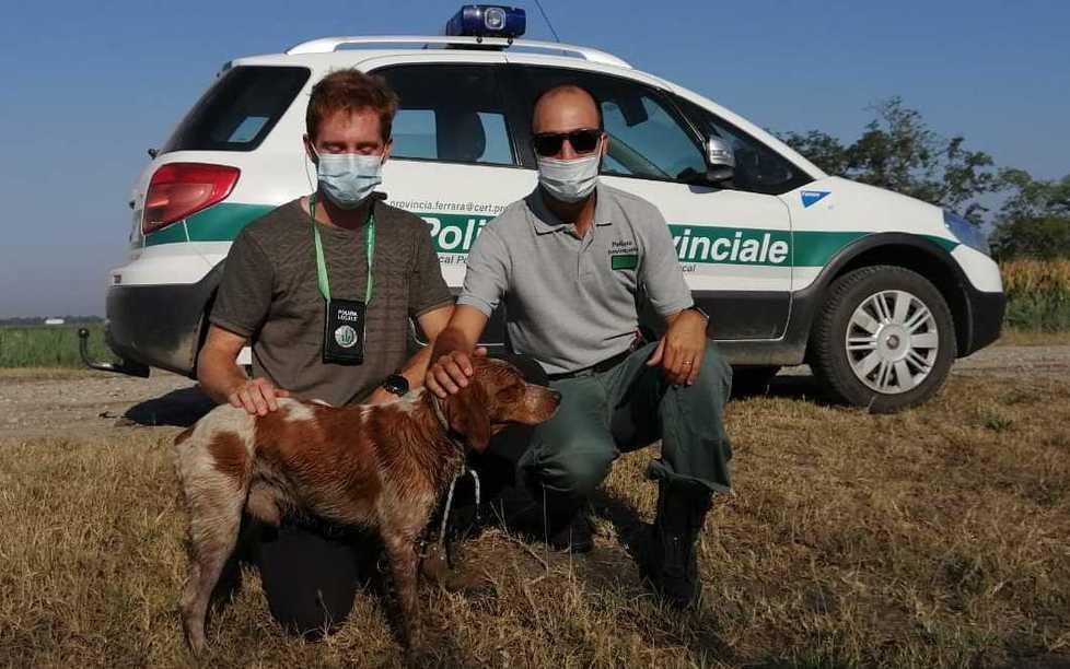 Cane di razza perso e ritrovato