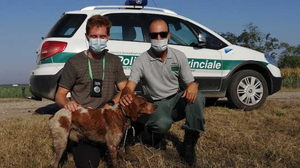 Cane di razza perso e ritrovato