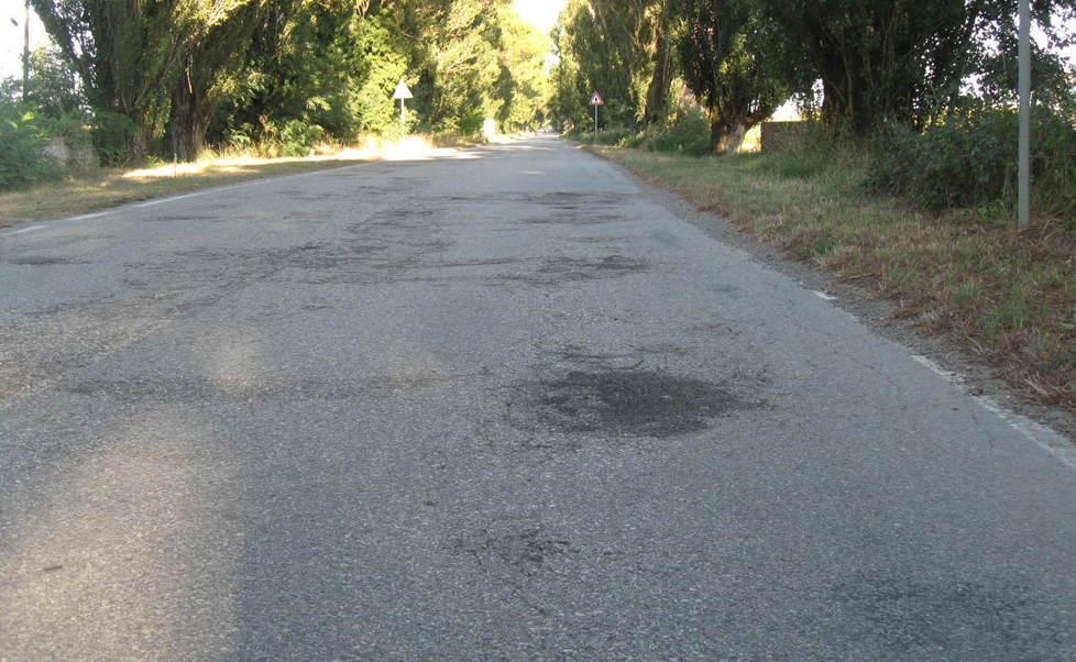 Manti dissestati, radici e fronde “invadenti” Tre strade da sistemare, i fondi non bastano