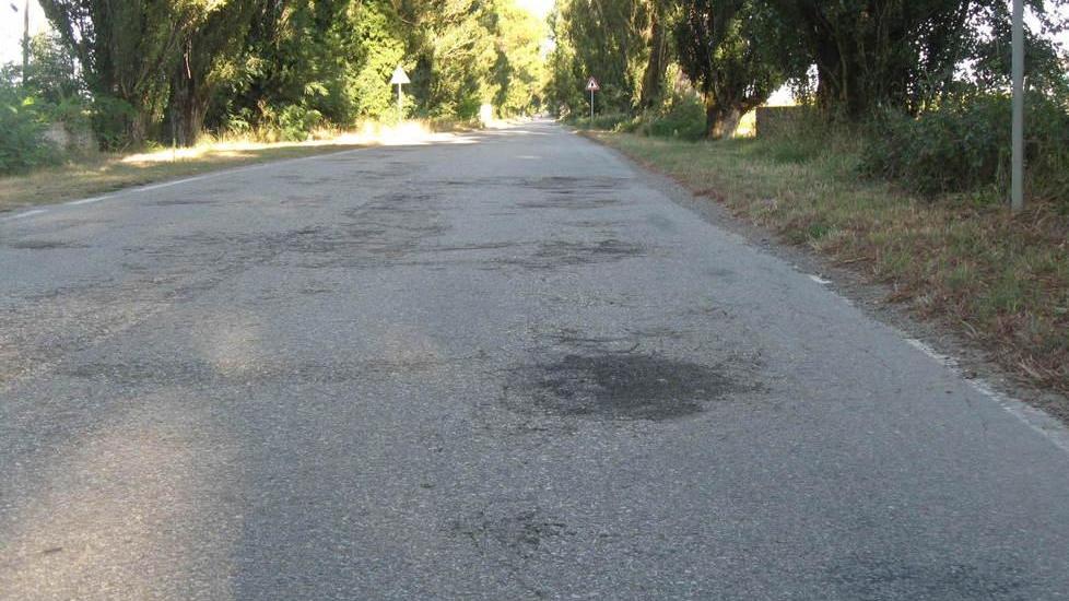 Manti dissestati, radici e fronde “invadenti” Tre strade da sistemare, i fondi non bastano