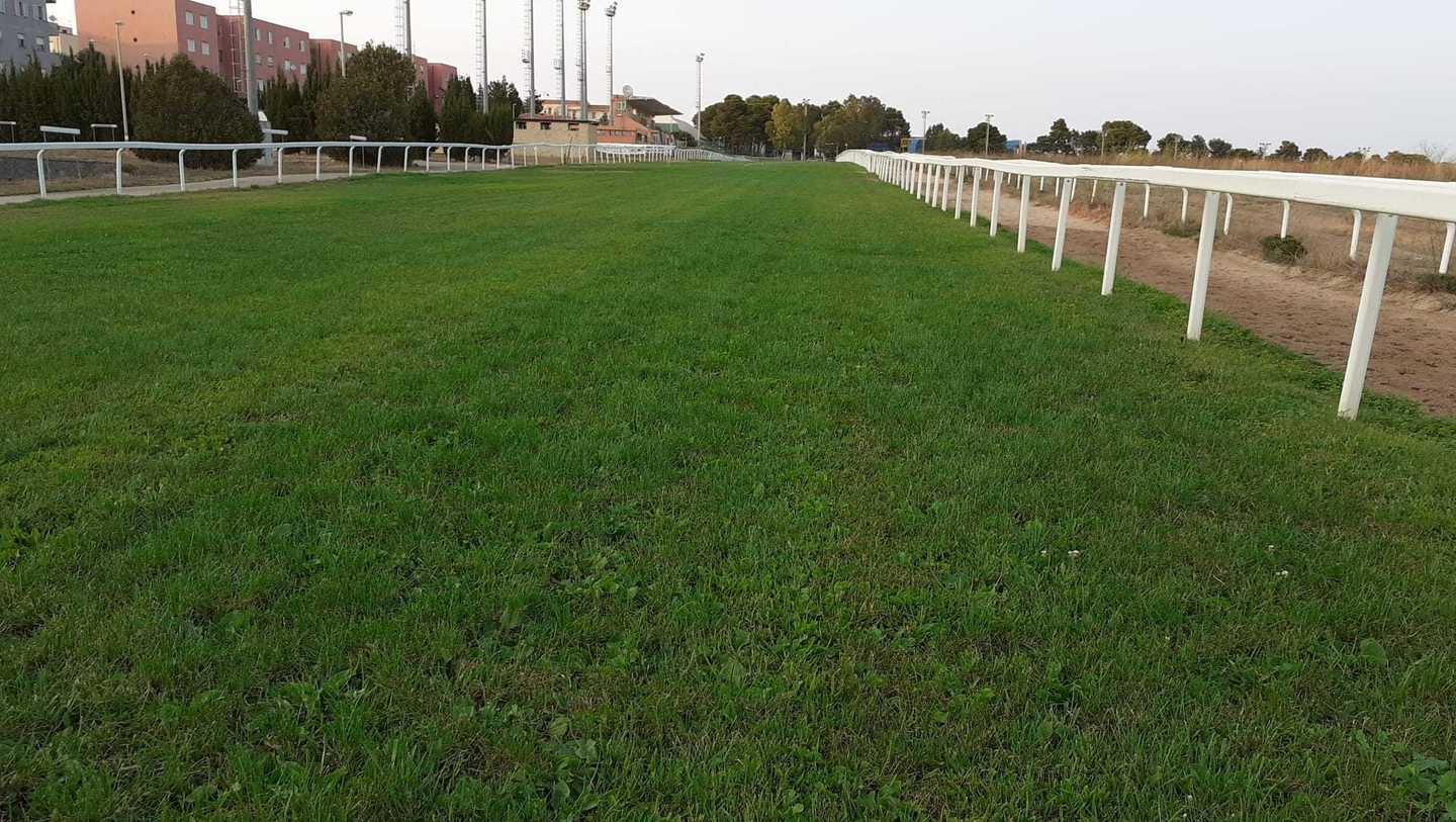 Ippodromo, niente corse «Torneremo in autunno» 