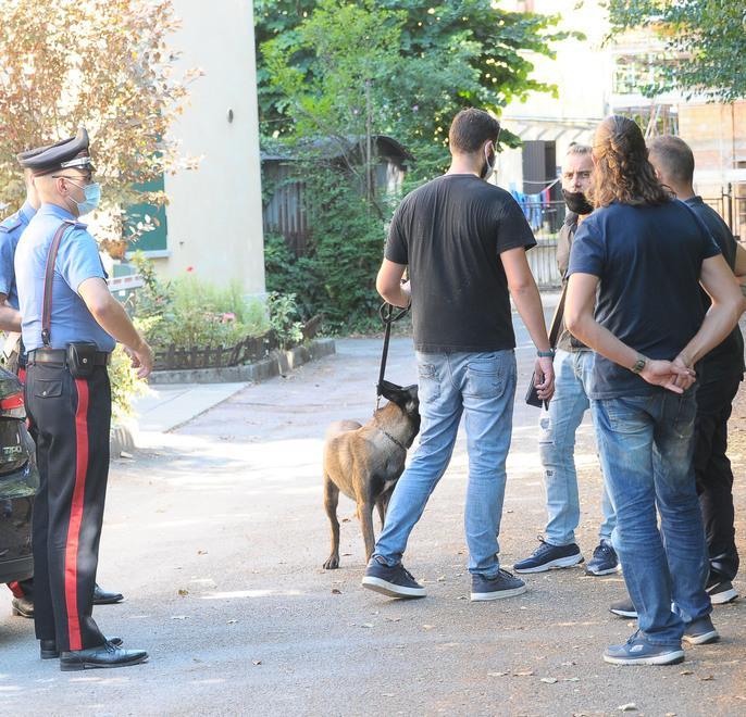 Castelnuovo. Trovato sulla strada con la testa fracassata 