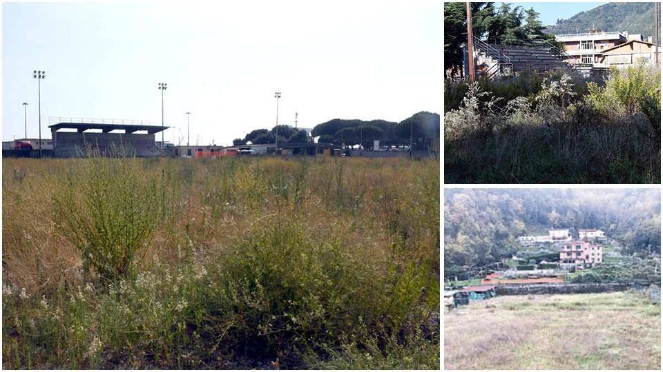 Il campo dei pini a sinistra, in alto a destra quello a Bonascola e in basso quello di Codena su cui c’è il progetto di rilancio