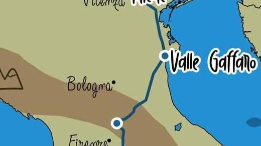 Tempeste e vento forte Gli ibis rallentano la marcia verso l’oasi