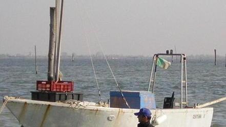 La Sacca bene comune innova l’acquacoltura Se ne parla in municipio
