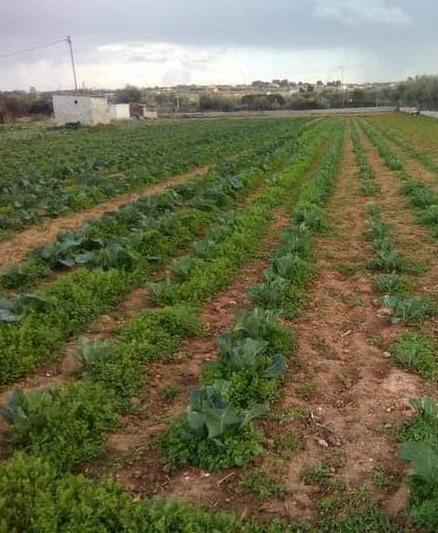 «Sedici anni fa condivisi il sogno di mio padre»