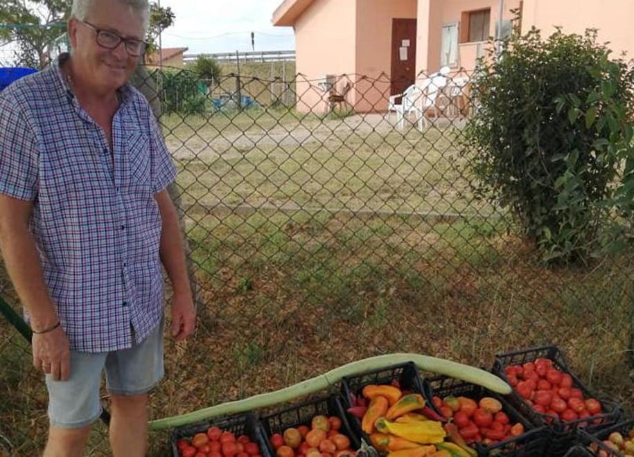 Carote, zucche e pomodori: l’orto solidale degli anziani 