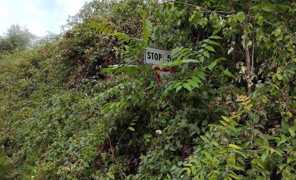 Via Lodolina, dove i turisti camminano tra le siepi