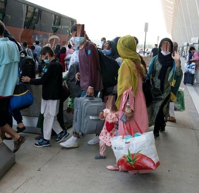 «Il sindaco si attivi per accogliere i profughi» 