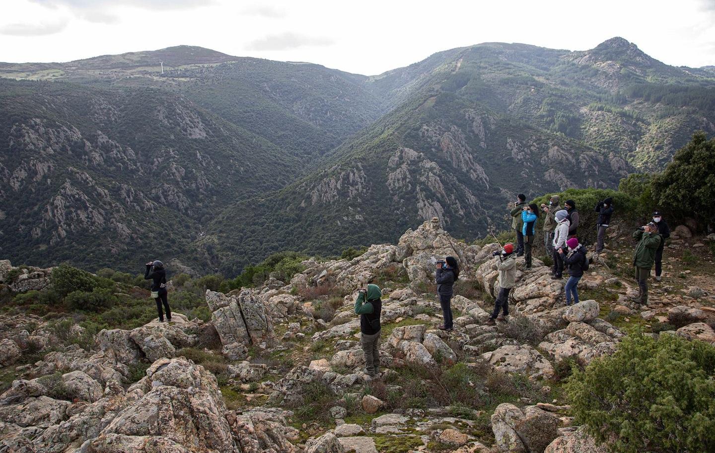 Appalto per il Centro internazionale scout 