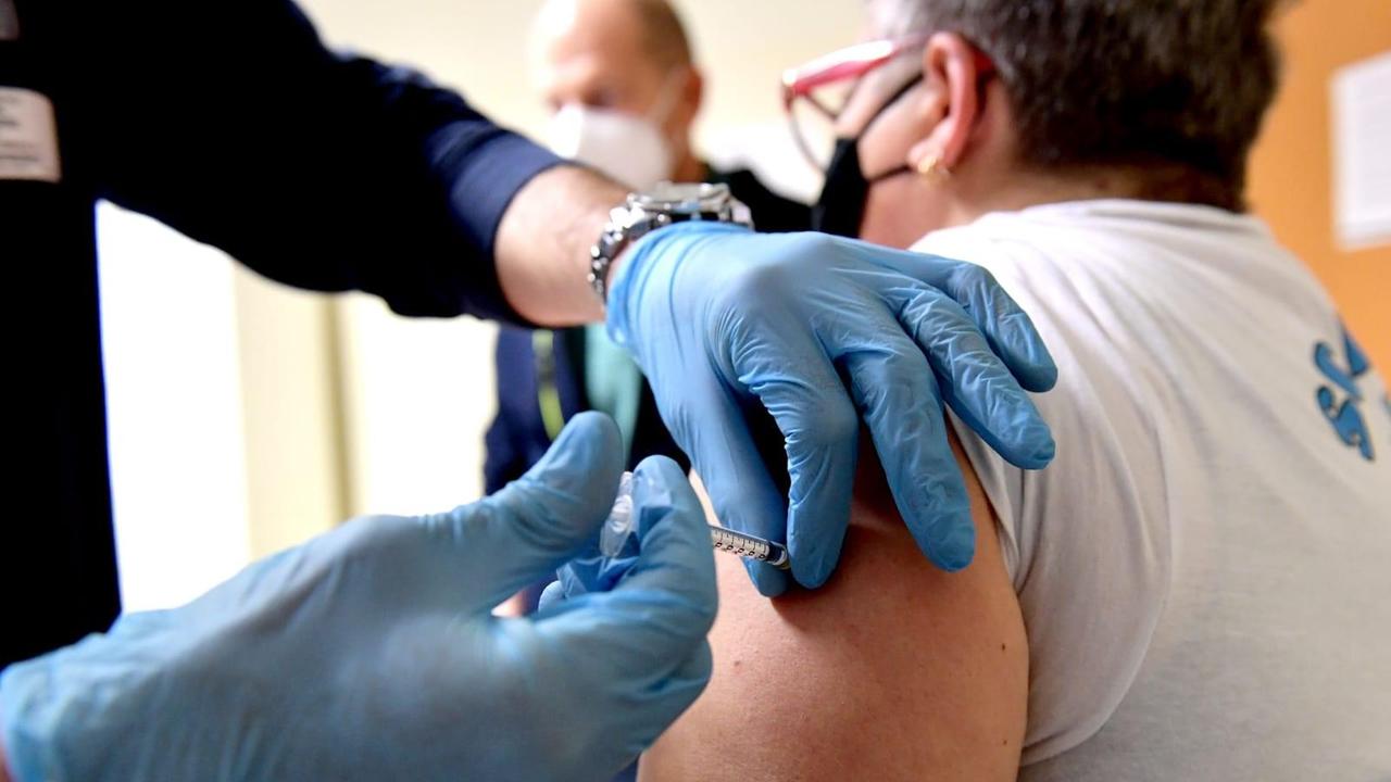 Non vaccinato un maremmano su 5: mancano all’appello in 40.200