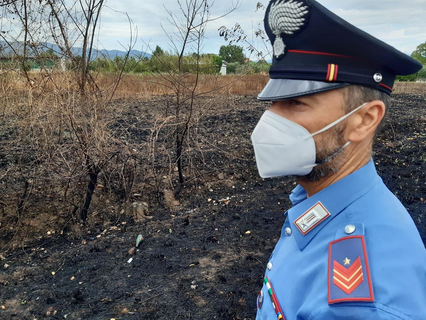 Il campo agricolo di Artimino dove venerdì pomeriggio un uomo ha appiccato il fuoco