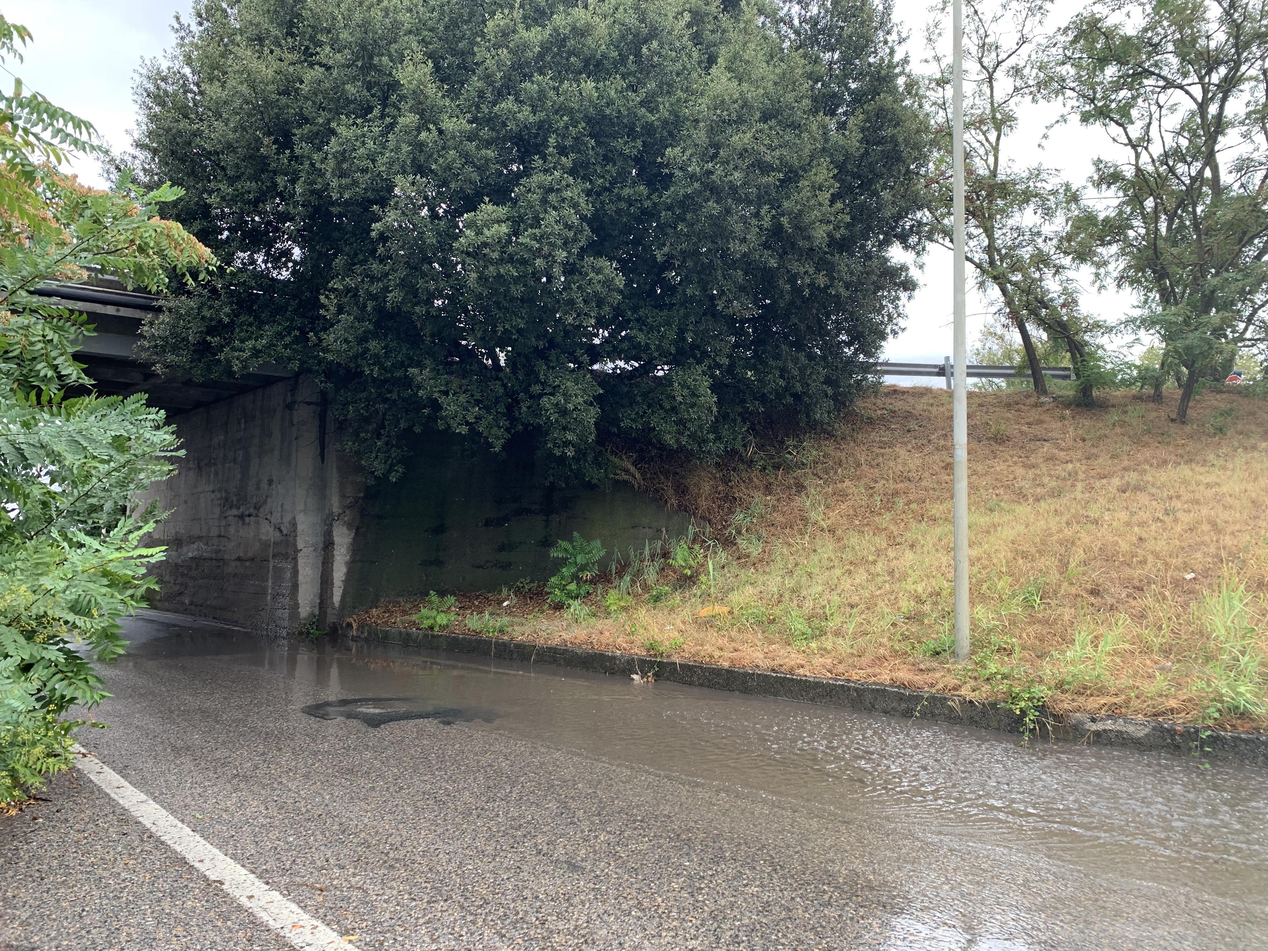Temporale all'alba a Livorno: allegato il sottopasso di via Firenze  