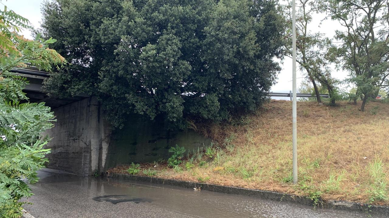 Temporale all'alba a Livorno: allegato il sottopasso di via Firenze