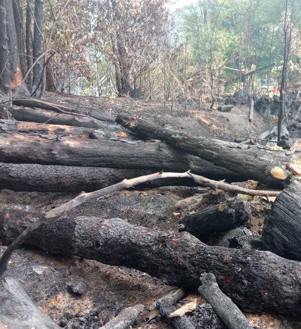 Incendio domato a Gricigliana «Grazie a tutti»