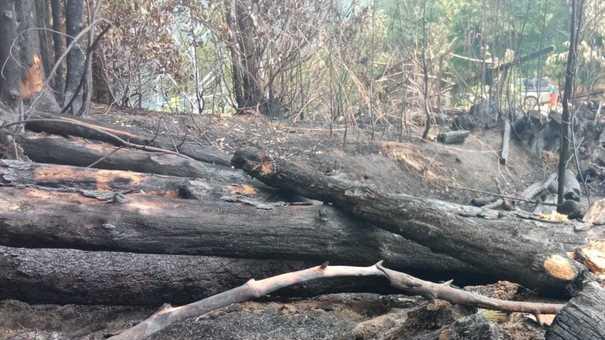 Incendio domato a Gricigliana «Grazie a tutti»