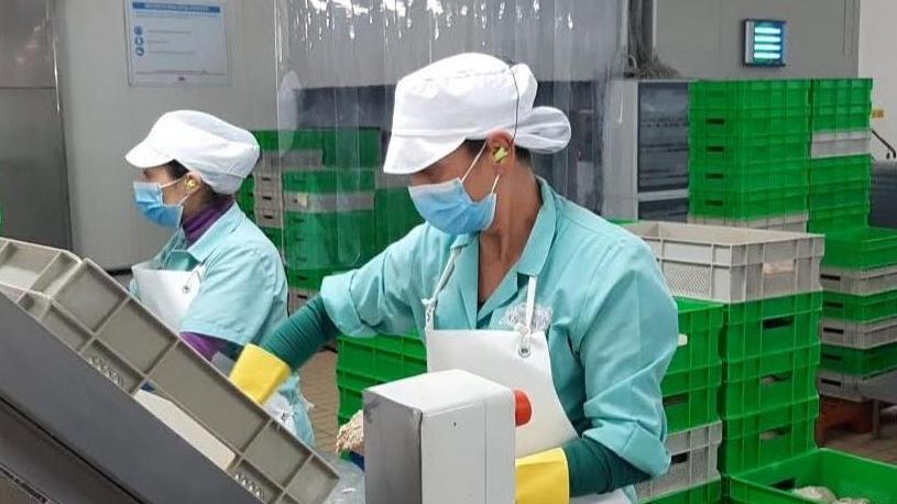 Olbia, il tonno più buono d’Italia lo produce la As do Mar