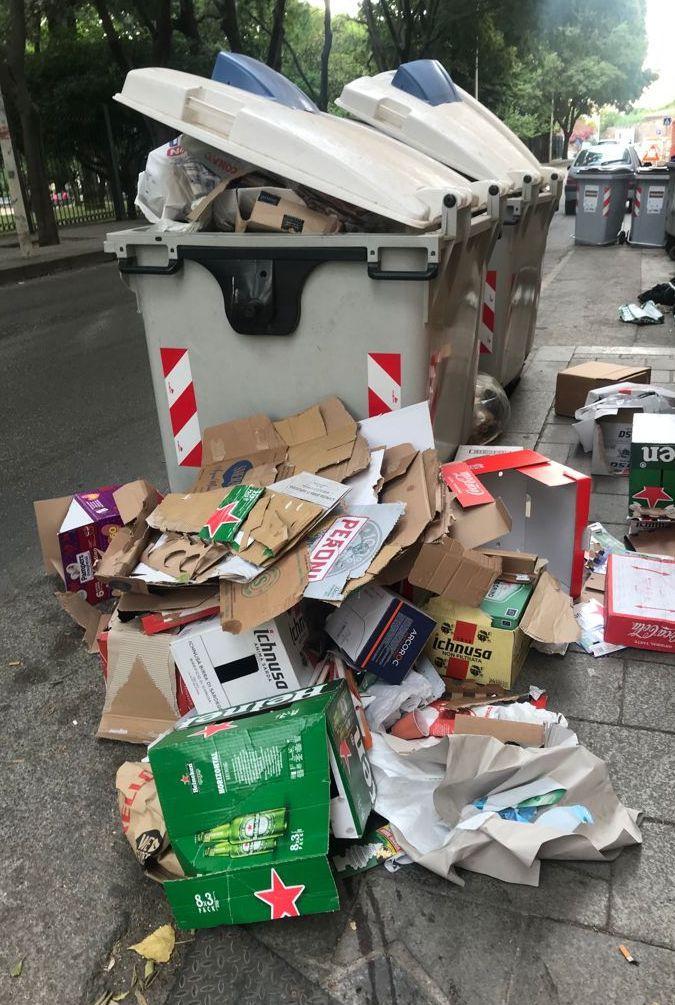 Sassari, «Nella via della movida comandano topi e blatte» 
