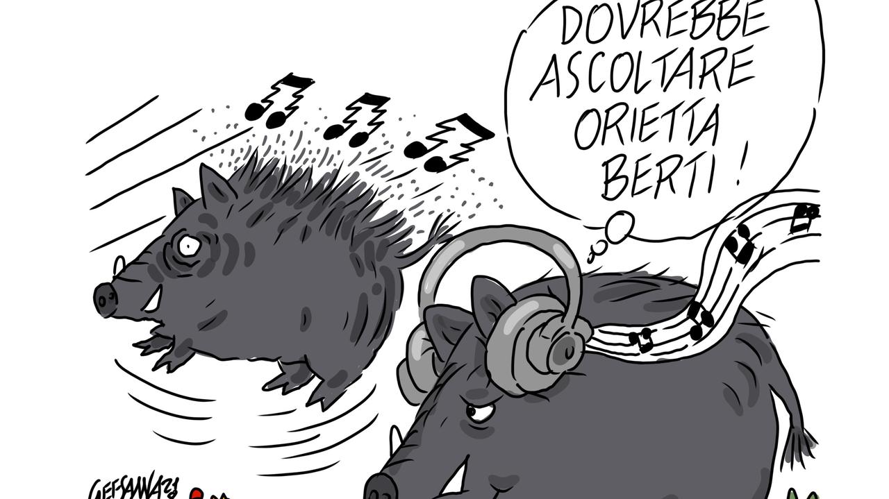 La vignetta di Gef: musica rock per fermare i cinghiali, la trovata di un viticoltore di Martis