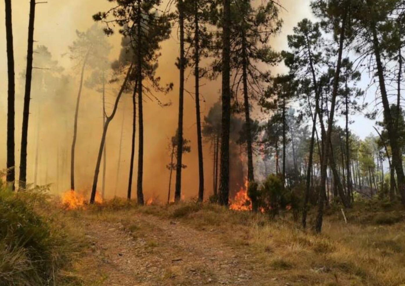 L'ncendio del 24 agosto nella campagna di San Sperate