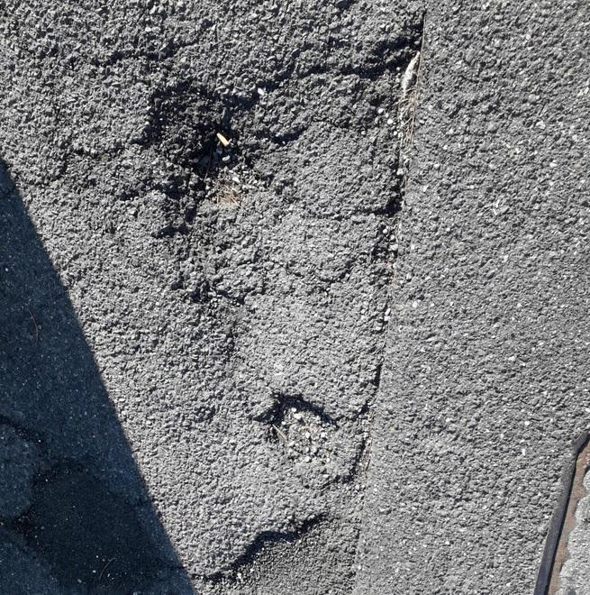 Strada e marciapiedi dissestati e “a pezzi” Sos da via Maggiani